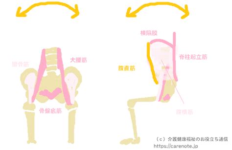 坐位|座位保持に必要な筋力やバランス能力 